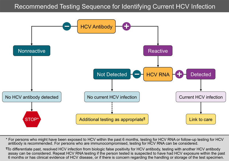 Core Concepts - Hepatitis C Diagnostic Testing - Screening and Diagnosis of Hepatitis C Infection