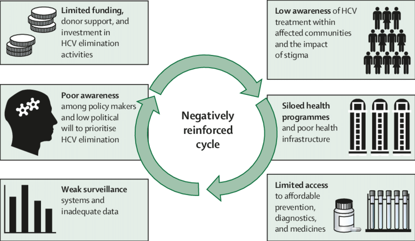 Challenges to investment in hepatitis C virus elimination HCV=hepatitis