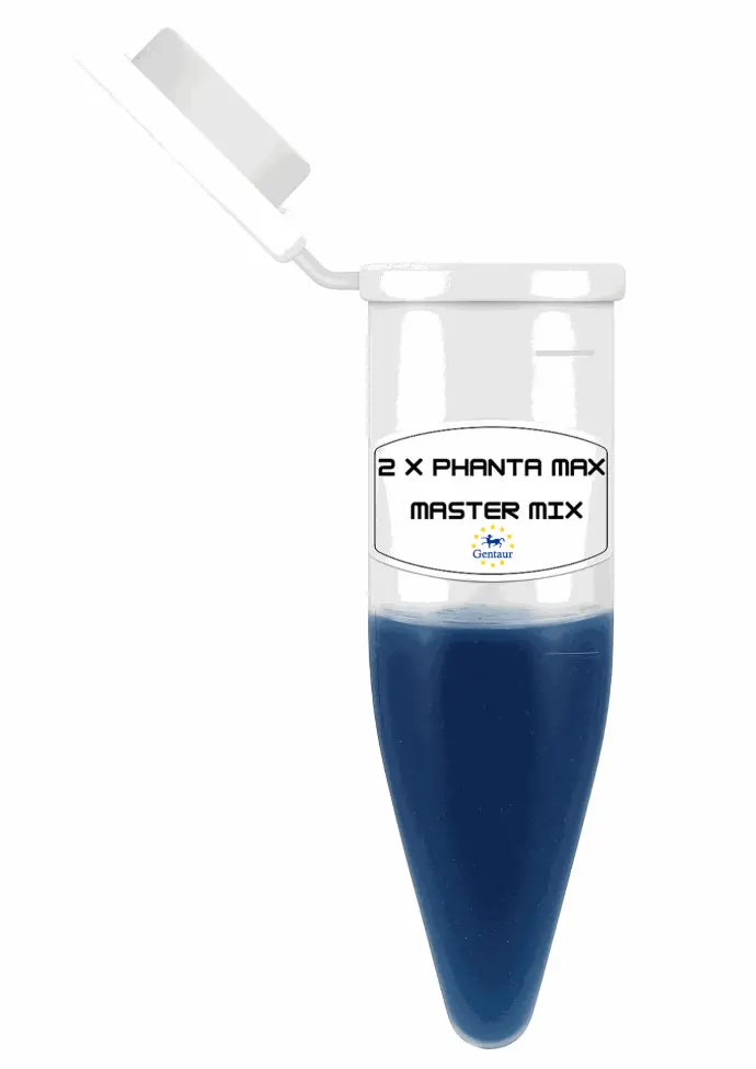 2X Phanta Flash Master Mix (Dye Plus) - 1 mL