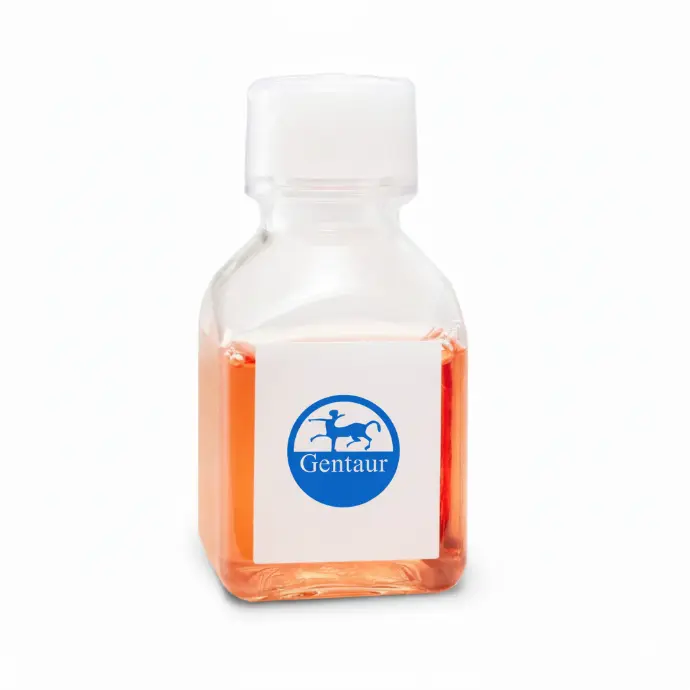Cat Serum - 100 mL