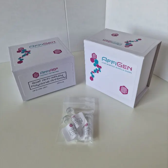 Goat Anti-mRuby Polyclonal Antibody - 300ug.