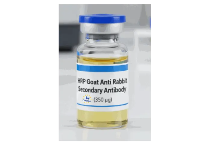HRP-Goat Anti-Rabbit Secondary Antibody - 350 ug.