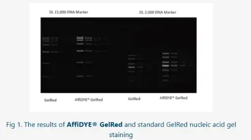 [AFG-VZ-GR501-01] AffiDYE® GelRed (10,000X) - 0.5 mL