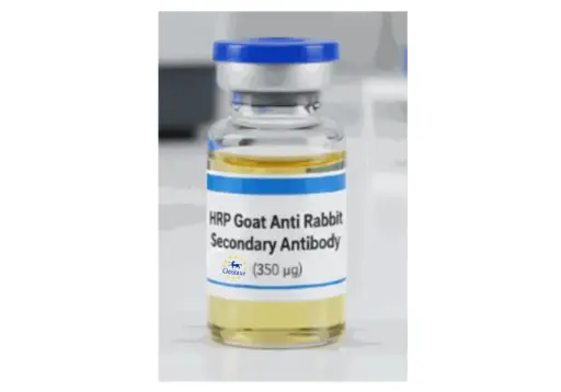 [0356-A12004] HRP-Goat Anti-Rabbit Secondary Antibody - 350 ug.