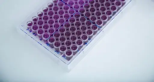 [0198-KLHG-3-INT] MONKEY ANTI-KLH IGG ELISA (FOR EXPORT), KLHG-3-INT